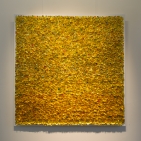 gaw_kemptenertobel_25