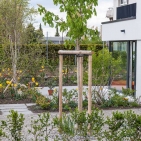 gaw_ru67_29