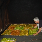 gaw_Muestair-Metamorphosis_05