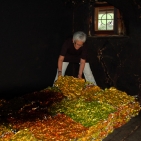 gaw_Muestair-Metamorphosis_09