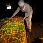 gaw_Muestair-Metamorphosis_10