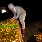 gaw_Muestair-Metamorphosis_12