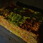 gaw_Muestair-Metamorphosis_16