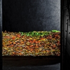 gaw_Muestair-Metamorphosis_18