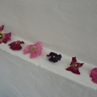 gaw_muestair2015_web_18